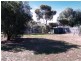 Lot 1 Prince Street, Junee NSW 2663