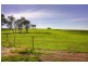 Wagga Wagga NSW 2650