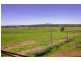 Wagga Wagga NSW 2650