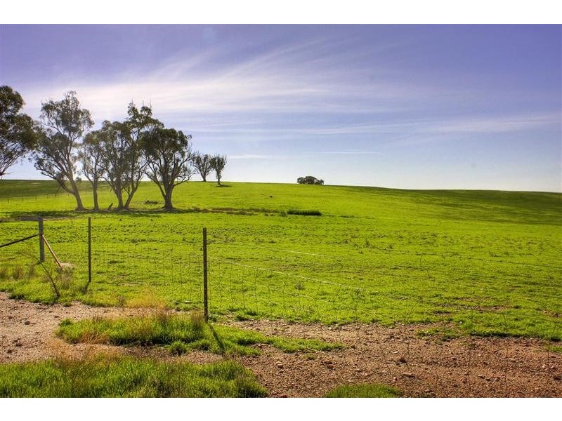 Wagga Wagga NSW 2650