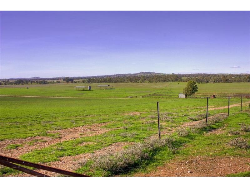 Wagga Wagga NSW 2650