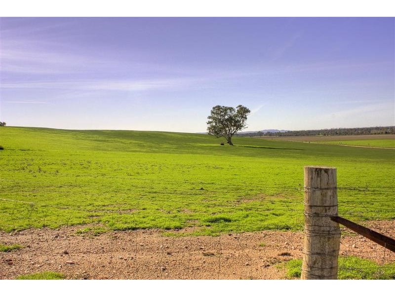 Wagga Wagga NSW 2650