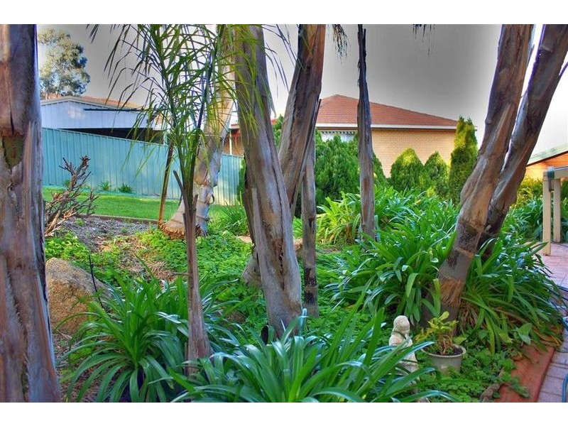 8 Banool Place, Kooringal NSW 2650