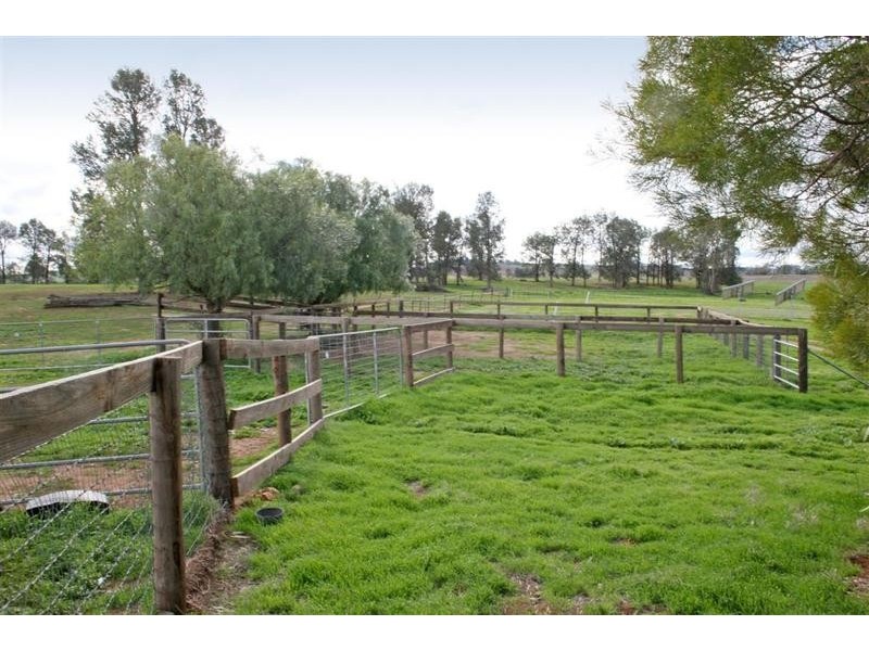 Wagga Wagga NSW 2650