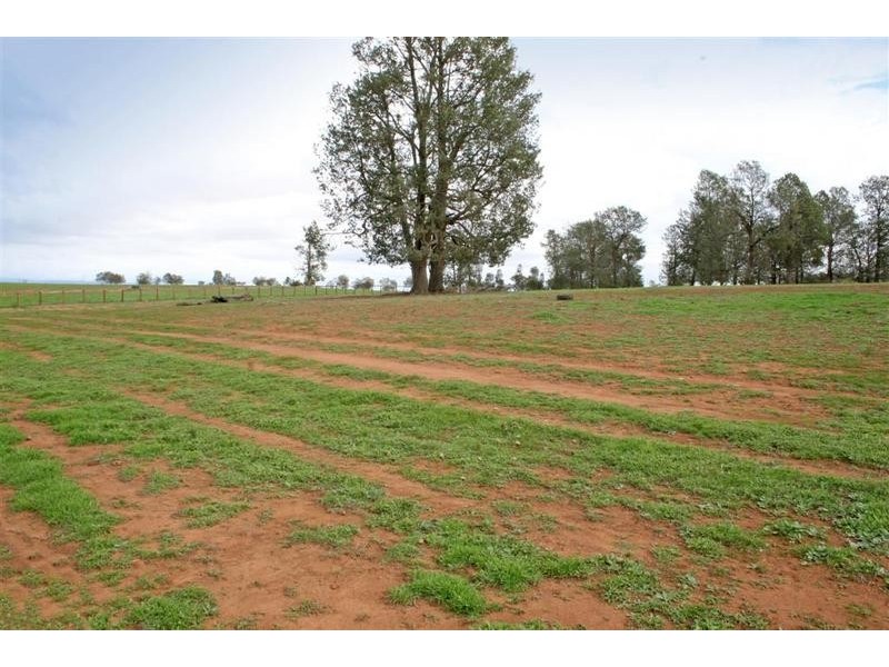 Wagga Wagga NSW 2650