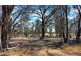 81 Nicholas Street, The Rock NSW 2655