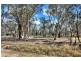 81 Nicholas Street, The Rock NSW 2655