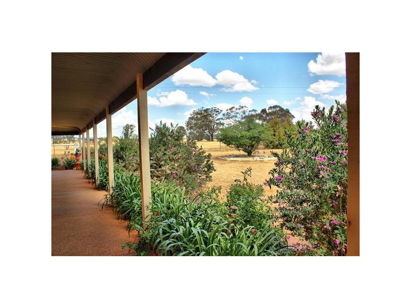 171 Connorton Street, Wagga Wagga NSW 2650
