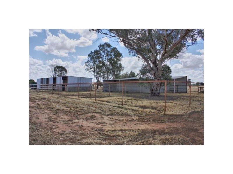 171 Connorton Street, Wagga Wagga NSW 2650