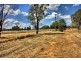 171 Connorton Street, Wagga Wagga NSW 2650