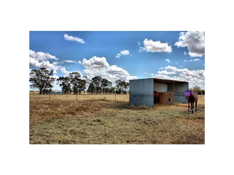 171 Connorton Street, Wagga Wagga NSW 2650