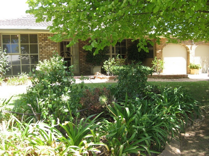 6 Nandina Street, Lake Albert NSW 2650