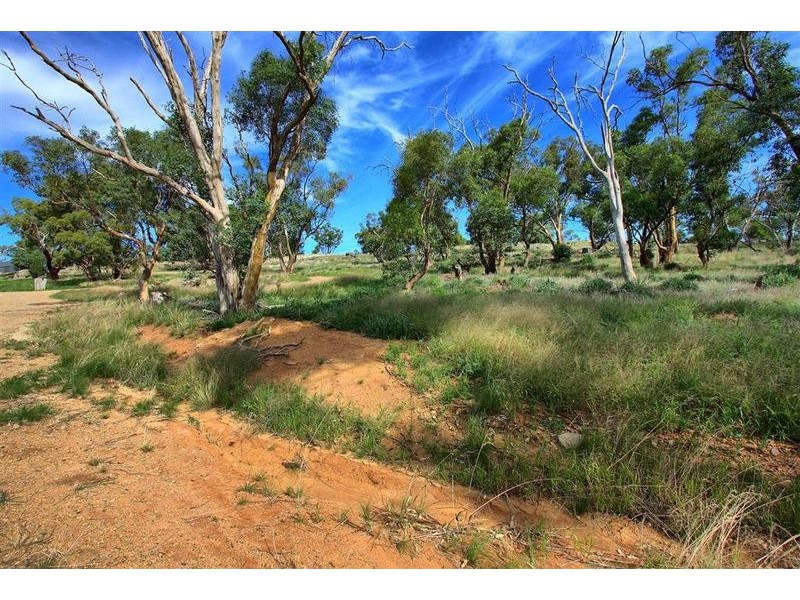 190 Brucedale Drive, Brucedale NSW 2650