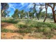 190 Brucedale Drive, Brucedale NSW 2650