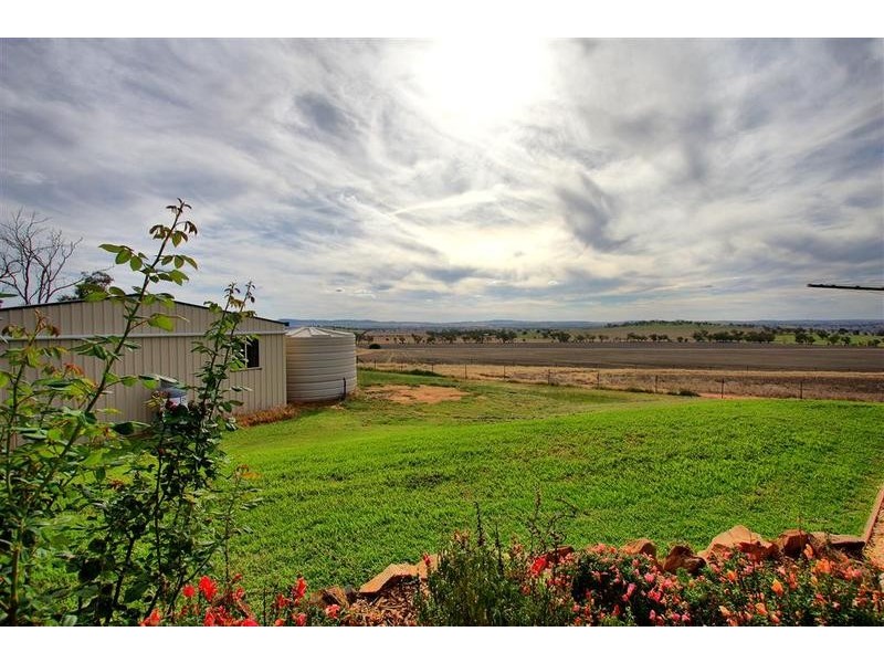 190 Brucedale Drive, Brucedale NSW 2650