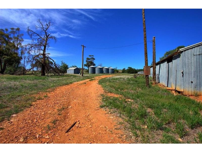 358 Shepherd Siding ‘The Pines’ Road, Wagga Wagga NSW 2650