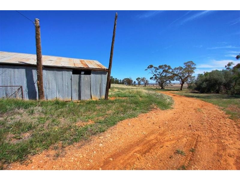 358 Shepherd Siding ‘The Pines’ Road, Wagga Wagga NSW 2650