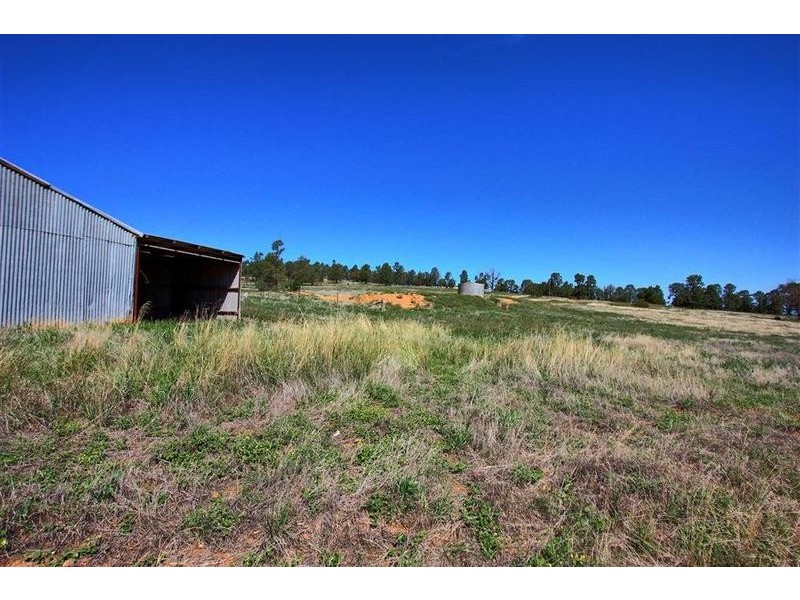 358 Shepherd Siding ‘The Pines’ Road, Wagga Wagga NSW 2650