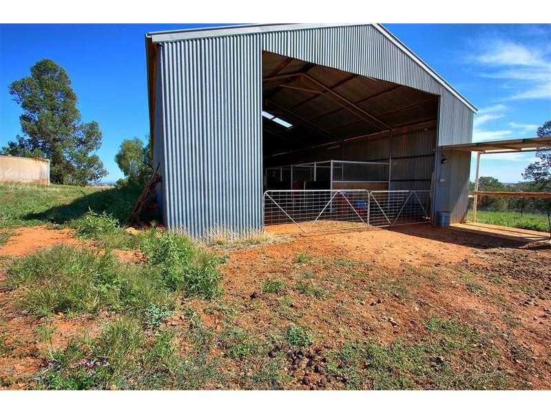 358 Shepherd Siding ‘The Pines’ Road, Wagga Wagga NSW 2650