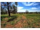 358 Shepherd Siding ‘The Pines’ Road, Wagga Wagga NSW 2650
