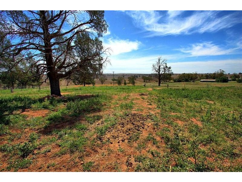 358 Shepherd Siding ‘The Pines’ Road, Wagga Wagga NSW 2650