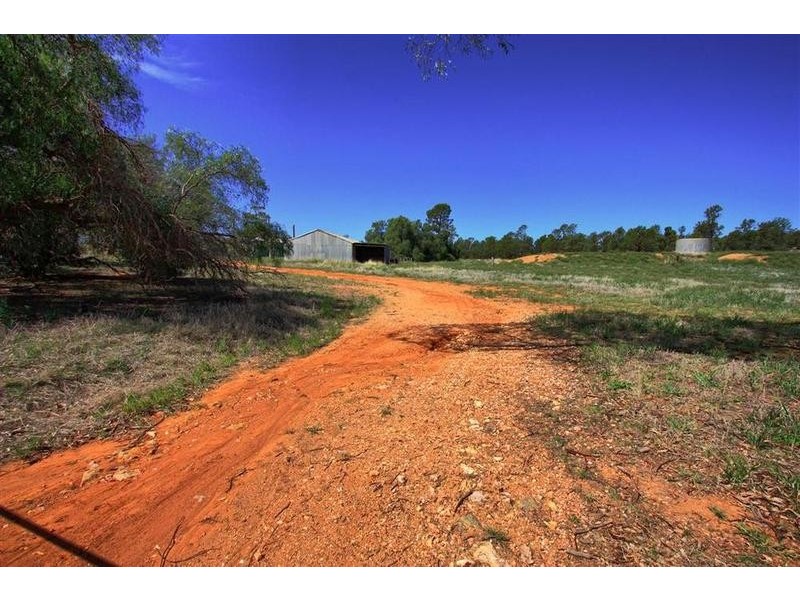 358 Shepherd Siding ‘The Pines’ Road, Wagga Wagga NSW 2650