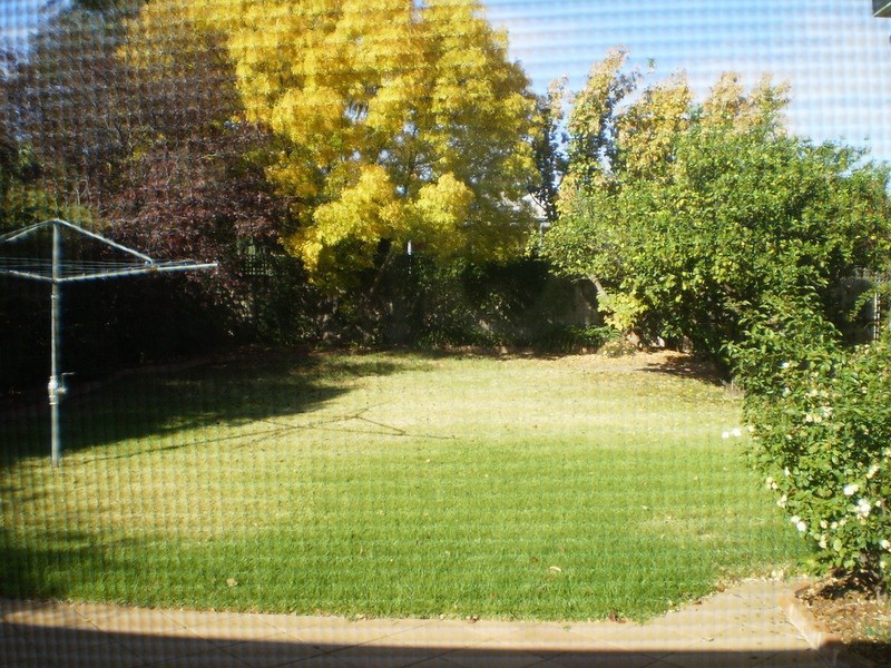 4 Sullivan Avenue, Wagga Wagga NSW 2650