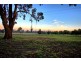 Wagga Wagga NSW 2650