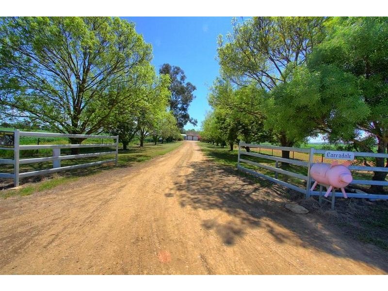 1 Pattersons Road, Wagga Wagga NSW 2650