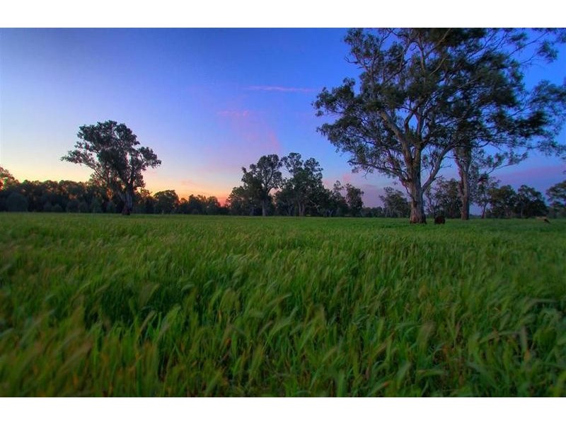 1 Roach Road, Wagga Wagga NSW 2650