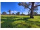 1 Roach Road, Wagga Wagga NSW 2650