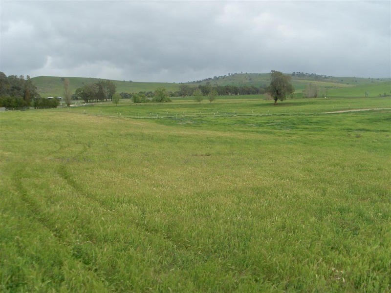 Lot 4 Warrell Street, Wantabadgery NSW 2650