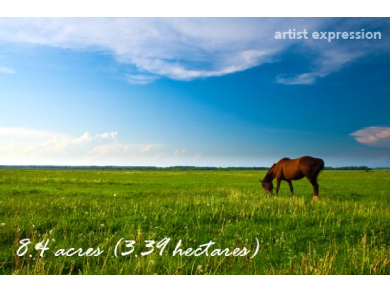 Lot 4 Warrell Street, Wantabadgery NSW 2650