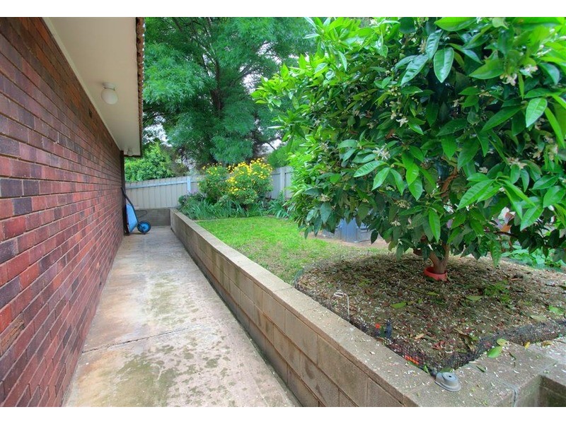 29 Kilpatrick Street, Kooringal NSW 2650