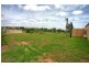 6 Mirbelia Drive, Springvale NSW 2650