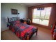 6 Mirbelia Drive, Springvale NSW 2650