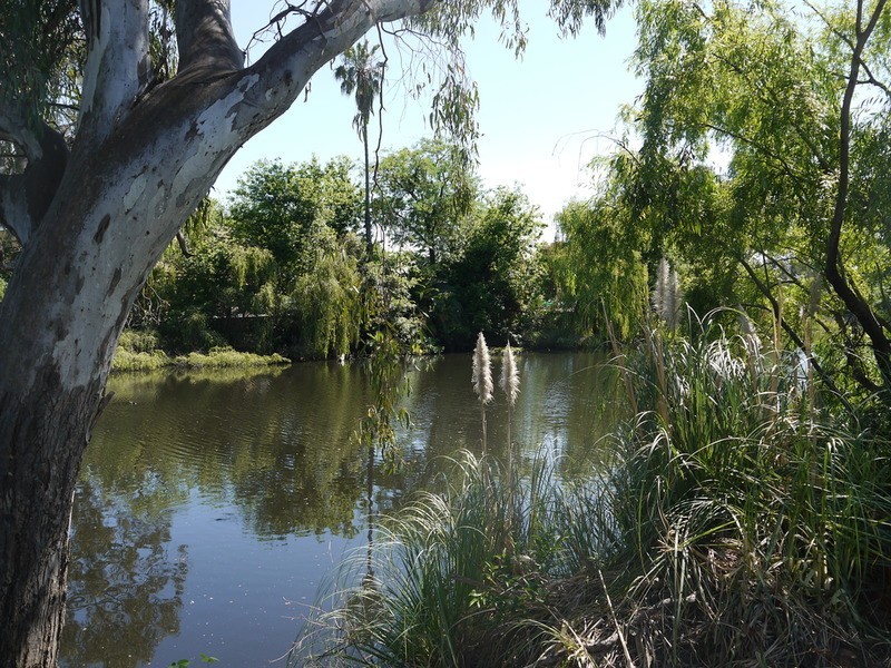 34 The Esplanade, Wagga Wagga NSW 2650