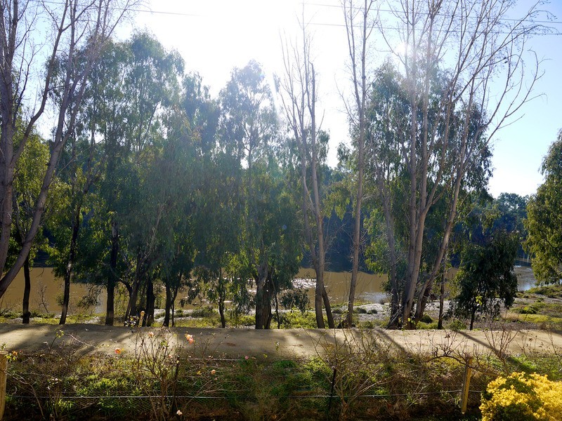 6/7 Sturt Street, Wagga Wagga NSW 2650