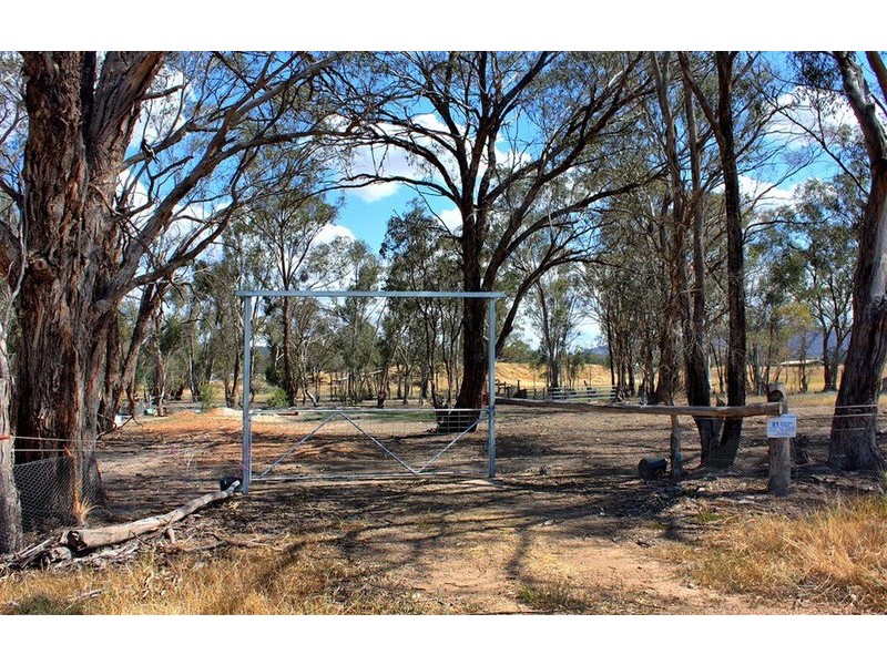 81 Nicholas Street, The Rock NSW 2655