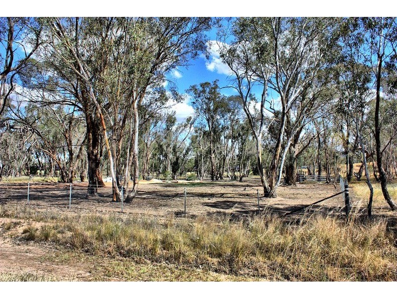 81 Nicholas Street, The Rock NSW 2655