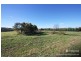 12 Mirbelia Drive, Springvale NSW 2650
