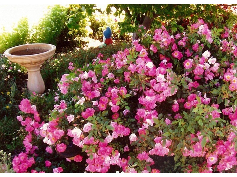 Lot 1 Suburb Street, Rankins Springs NSW 2669