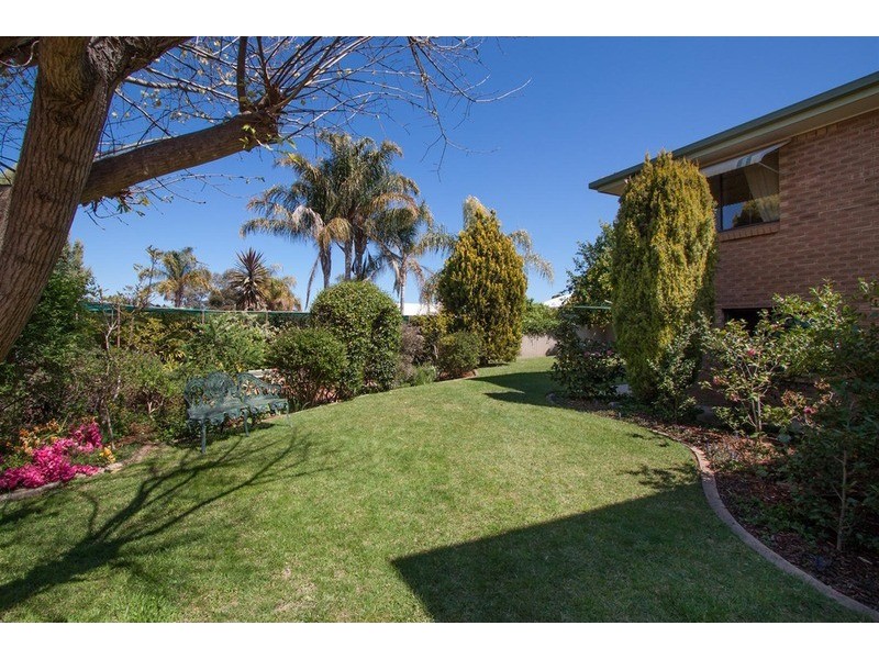16 Henwood  Avenue, Kooringal NSW 2650