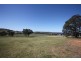 12 (lot 3) Kunzea Place, Springvale NSW 2650