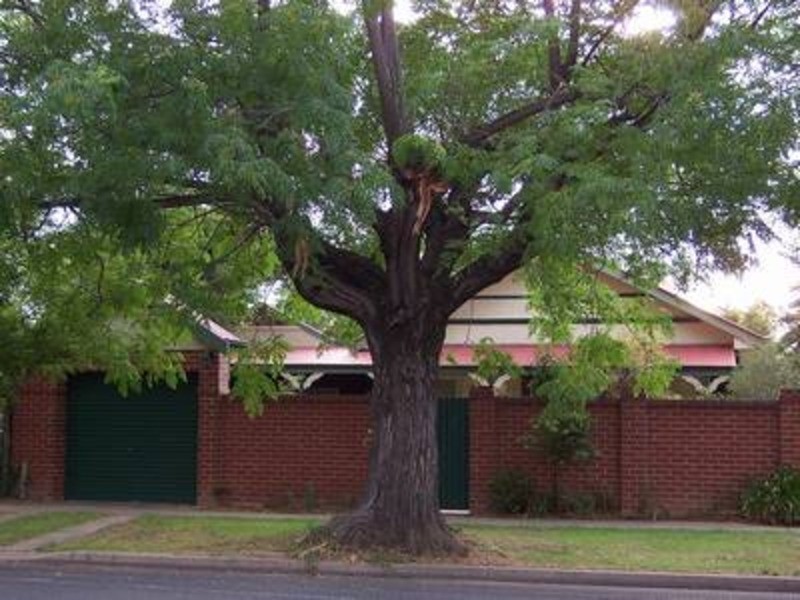 100 The Esplanade, Wagga Wagga NSW 2650