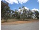 Lot 5 Don Street, Marrar NSW 2652