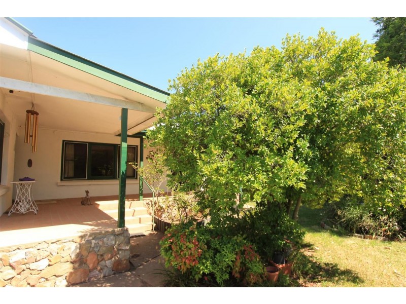 13 Benedict Avenue, San Isidore NSW 2650