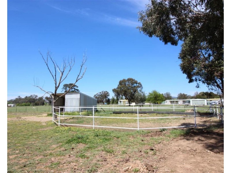 137 Main Street, Lake Albert NSW 2650