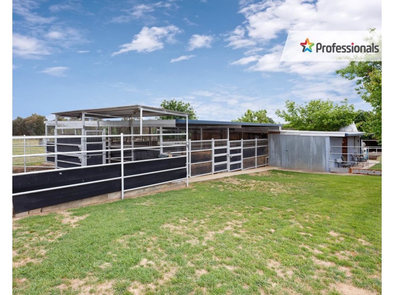 14 Silverwood Road, Lake Albert NSW 2650