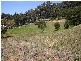 5-6 Coolong Road, Tumbi Umbi NSW 2261